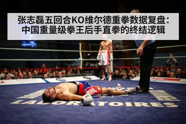 张志磊五回合KO维尔德重拳数据复盘:中国重量级拳王后手直拳的终结逻辑
