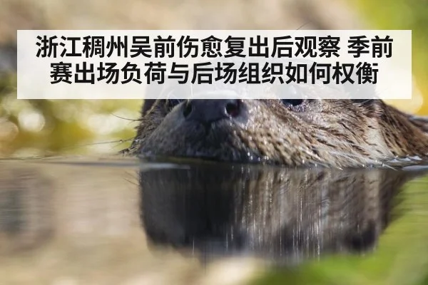 浙江稠州吴前伤愈复出后观察 季前赛出场负荷与后场组织如何权衡