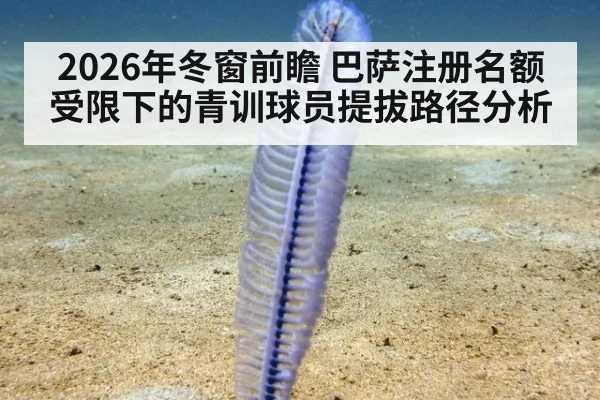 2026年冬窗前瞻 巴萨注册名额受限下的青训球员提拔路径分析